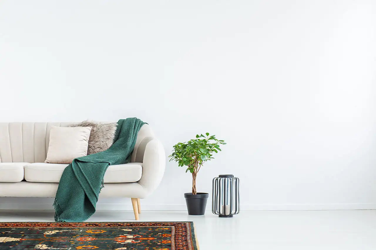 Qashqai - Klassisch (292x204 cm) - German Carpet Shop